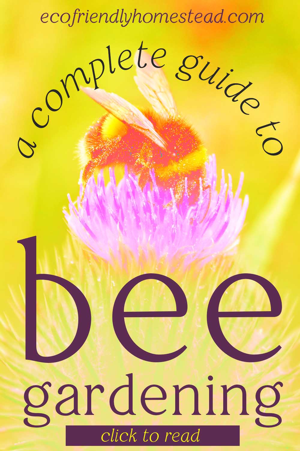 Bee Gardening 101 Attract pollinators with these flowers for bees